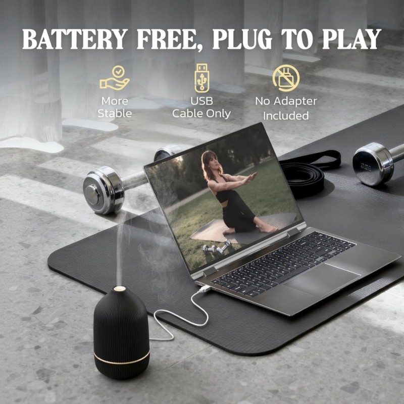 Home Fragrance Best - 家庭用100mlアロマディフューザー、ミニ超音波式エッセンシャルオイルディフューザー、雰囲気のある香り作りに最適-ベストセラー