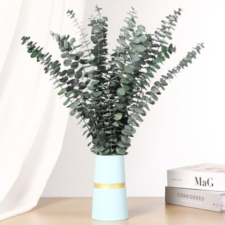 乾燥したユーカリの茎、シャワー用、17インチの天然本物のユー - Home Fragrance Eucalyptus のレビューと価格