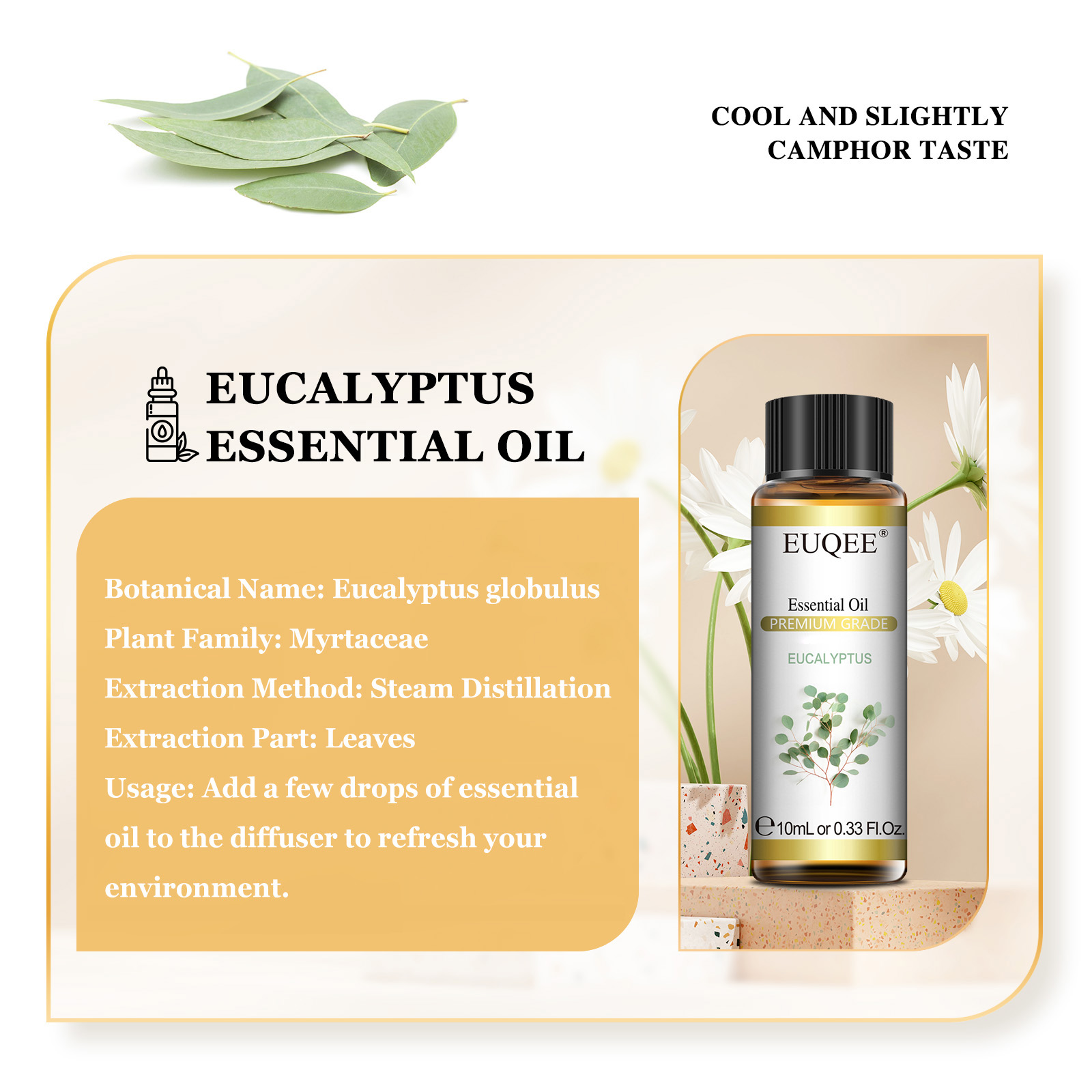 EUQEE 10 ミリリットル天然エッセンシャルオイルユーカ - Home Fragrance Eucalyptus のレビューと価格