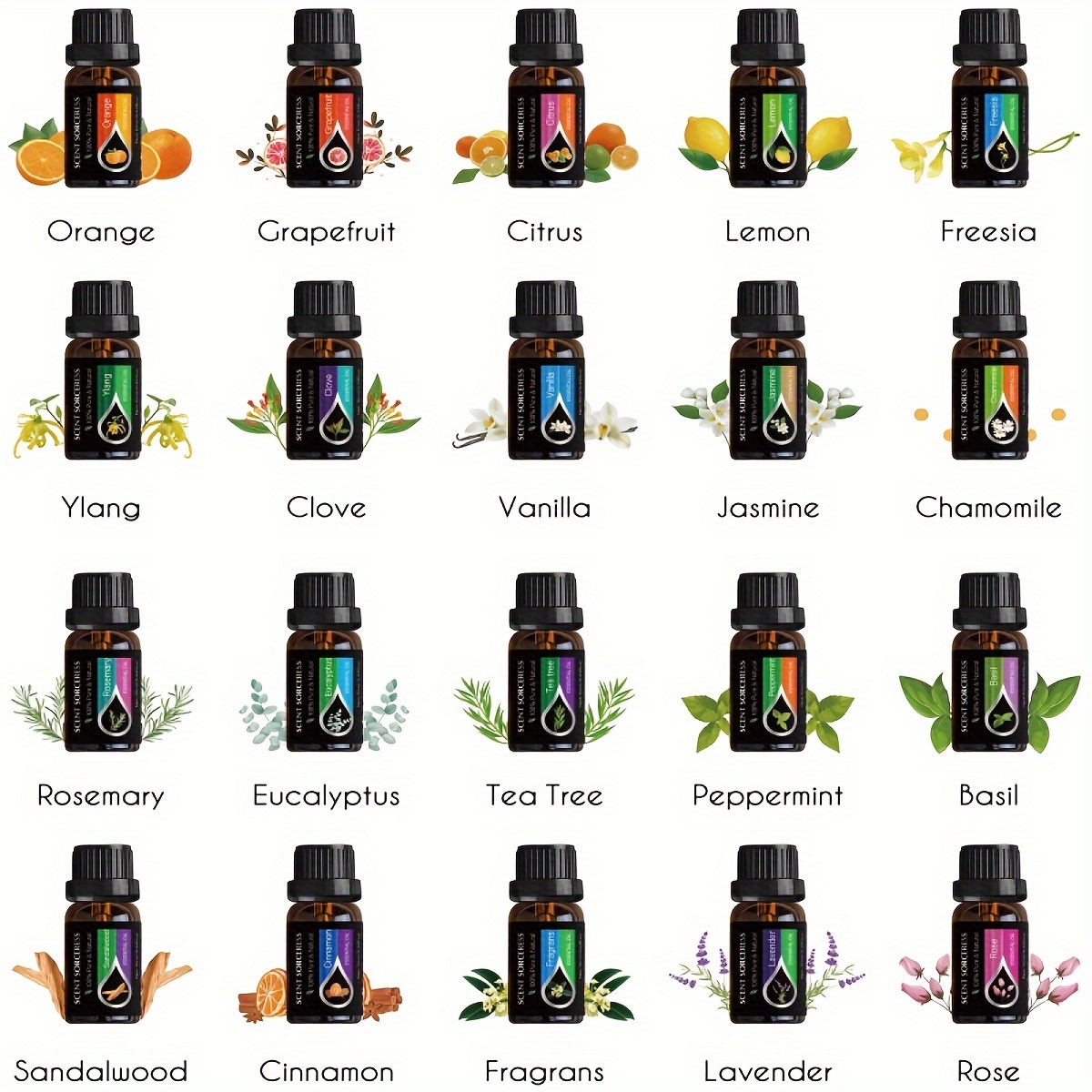 20 ピース/セットクラシックブランドエッセンシャルオイルセ - Home Fragrance Eucalyptus のレビューと価格