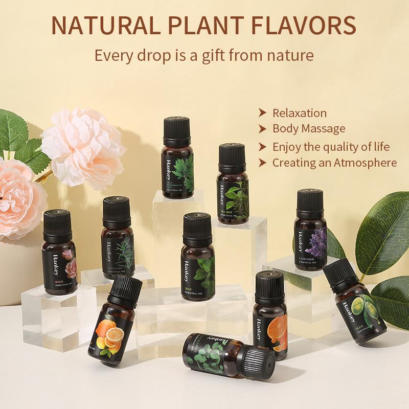 10 ミリリットル天然植物エッセンシャル オイル セット ア - Home Fragrance Aroma Set のレビューと価格